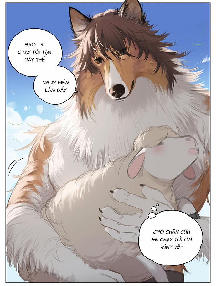 SÓI VÀ CHÓ CHĂN CỪU 2 trang 4