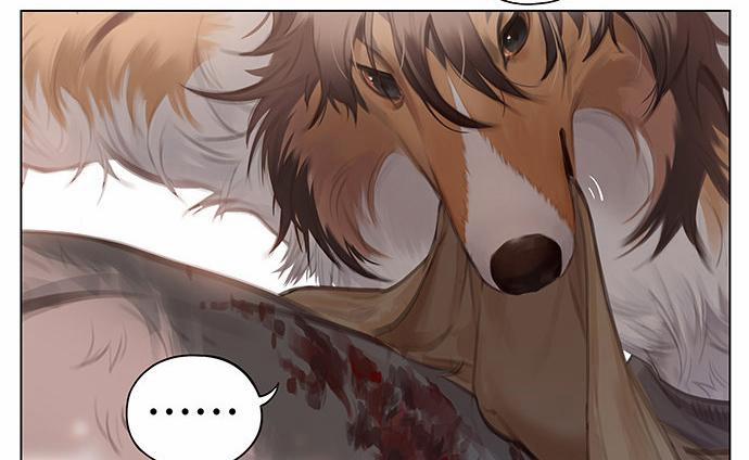 SÓI VÀ CHÓ CHĂN CỪU 3 trang 8