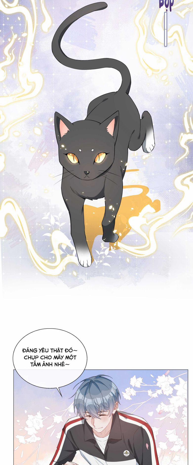 Sơn Hải Cao Trung 13 trang 11