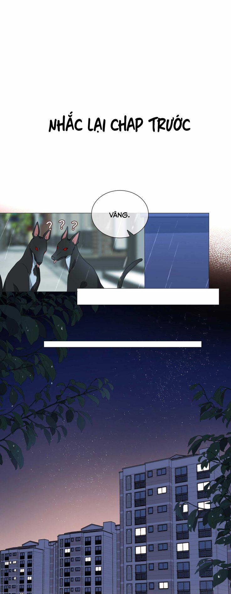 Sơn Hải Cao Trung 26 trang 0