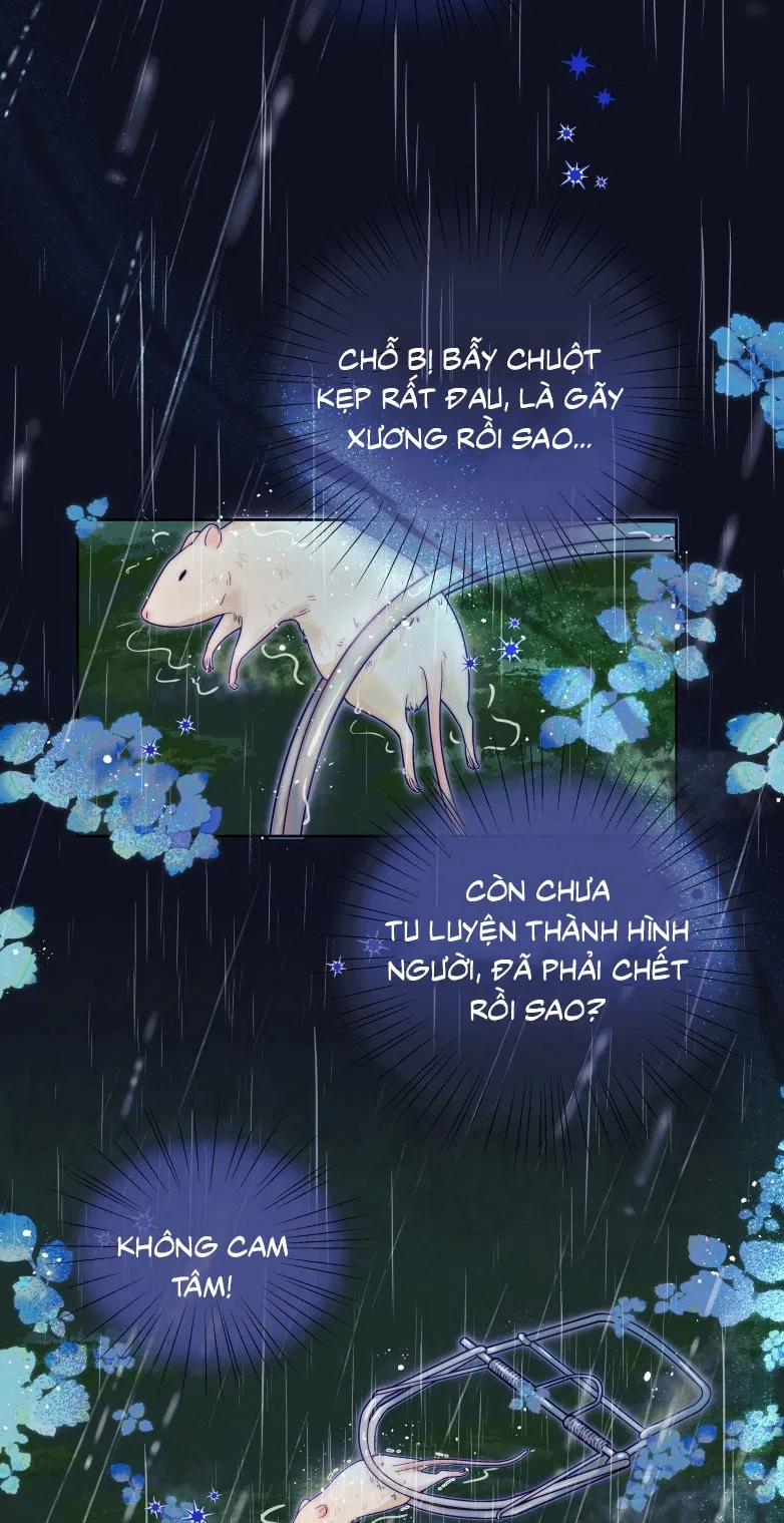 Sống Chung Cùng Kẻ Địch Trời Sinh 12 trang 1