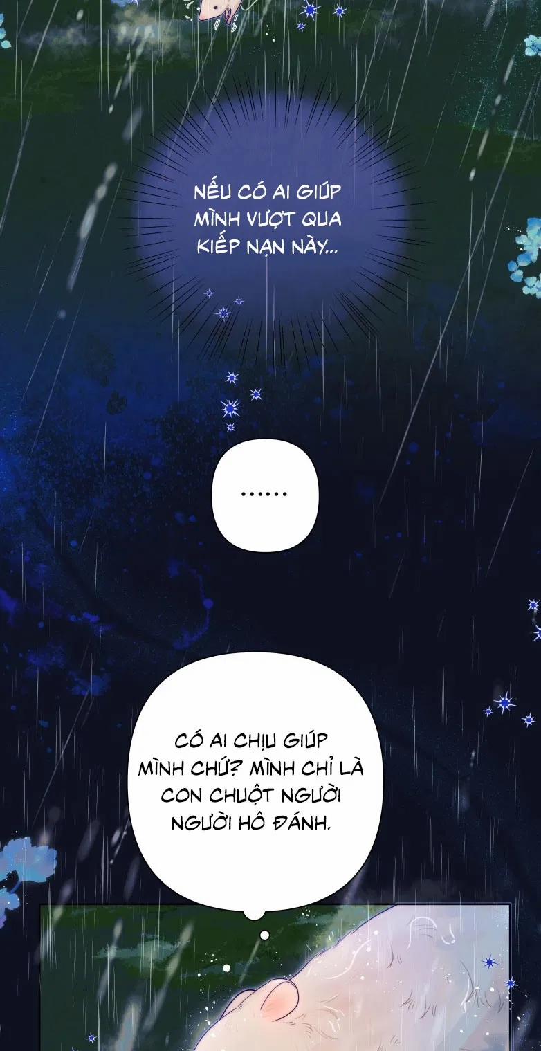 Sống Chung Cùng Kẻ Địch Trời Sinh 12 trang 2