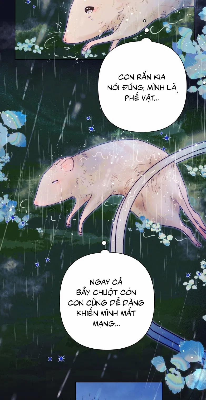 Sống Chung Cùng Kẻ Địch Trời Sinh 12 trang 3