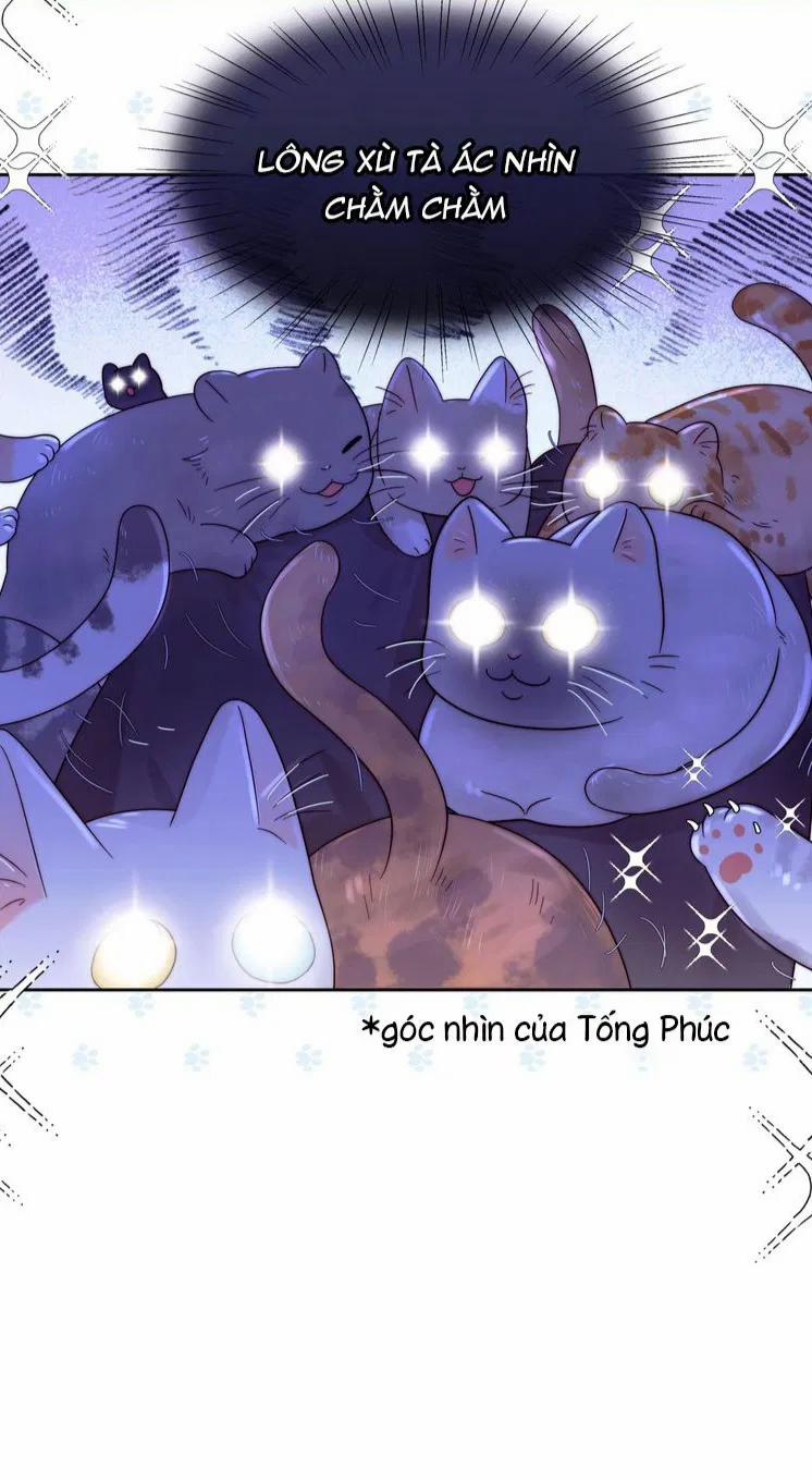 Sống Chung Cùng Kẻ Địch Trời Sinh 13 trang 11