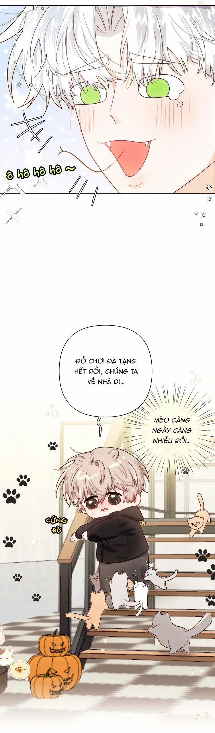 Sống Chung Cùng Kẻ Địch Trời Sinh 13 trang 6