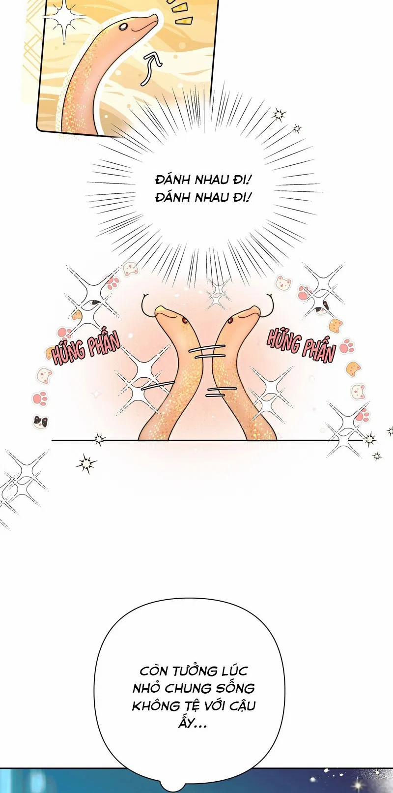 Sống Chung Cùng Kẻ Địch Trời Sinh 14 trang 20