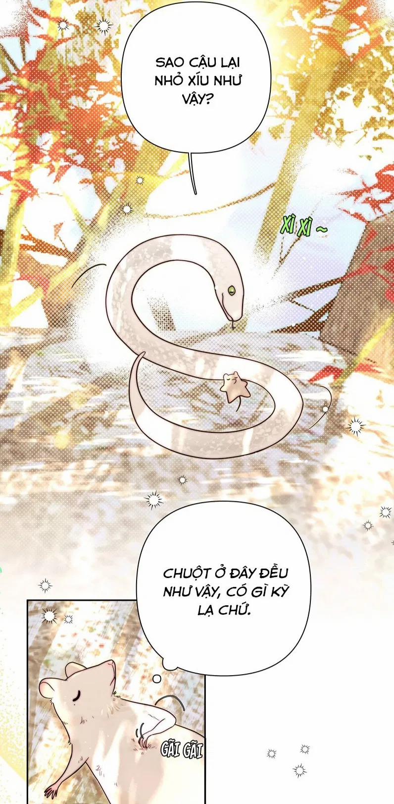 Sống Chung Cùng Kẻ Địch Trời Sinh 14 trang 7