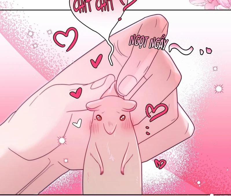 Sống Chung Cùng Kẻ Địch Trời Sinh 19 trang 1