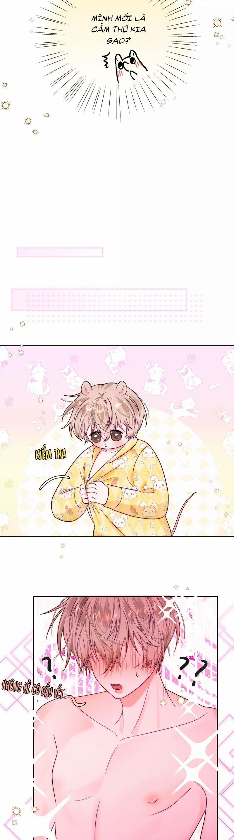 Sống Chung Cùng Kẻ Địch Trời Sinh 19 trang 19