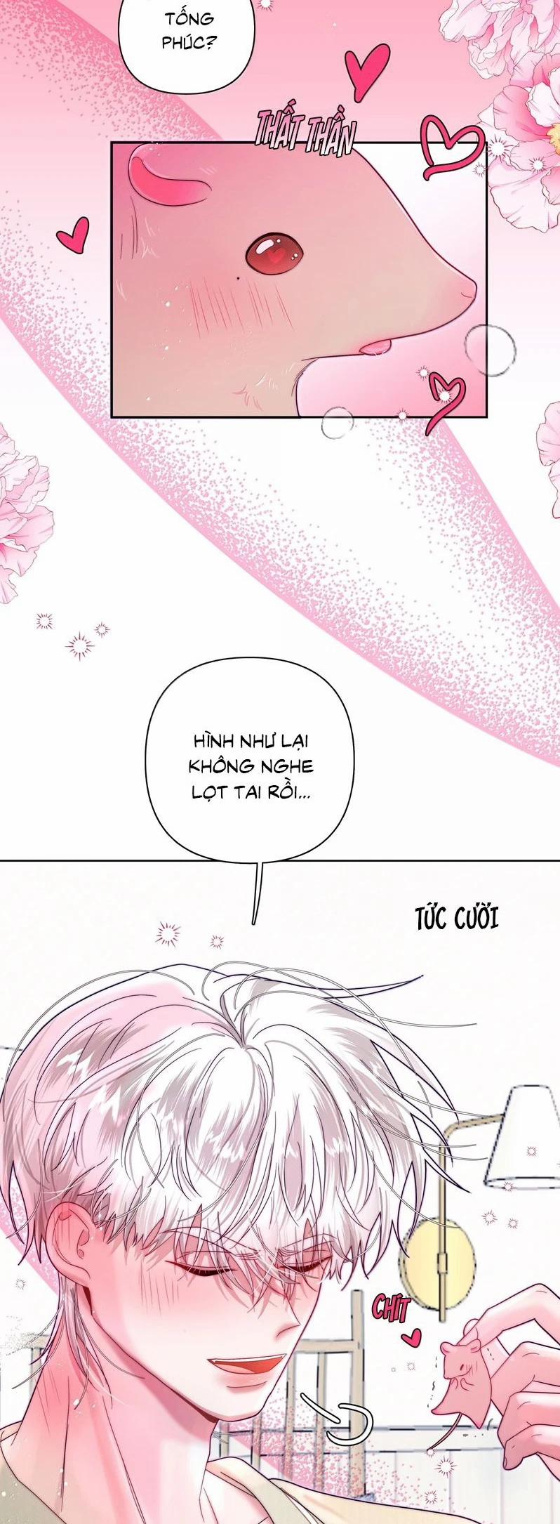 Sống Chung Cùng Kẻ Địch Trời Sinh 19 trang 2