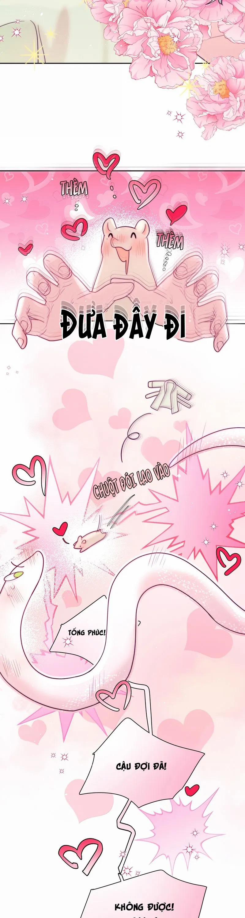 Sống Chung Cùng Kẻ Địch Trời Sinh 19 trang 8