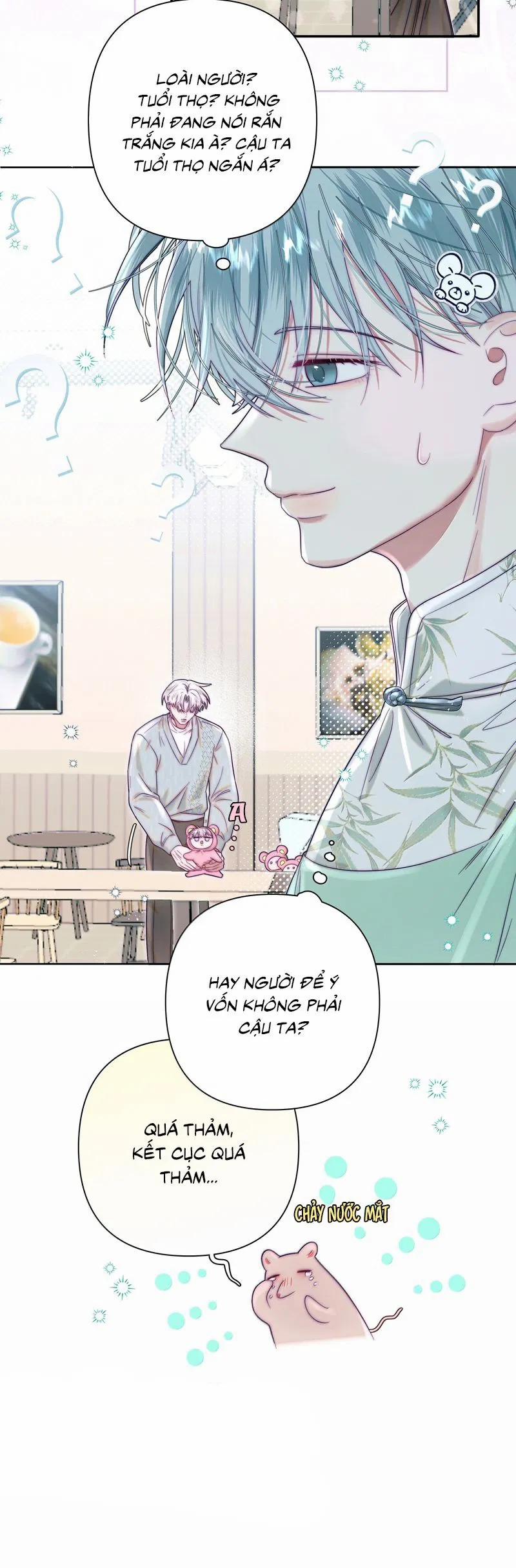 Sống Chung Cùng Kẻ Địch Trời Sinh 21 trang 19