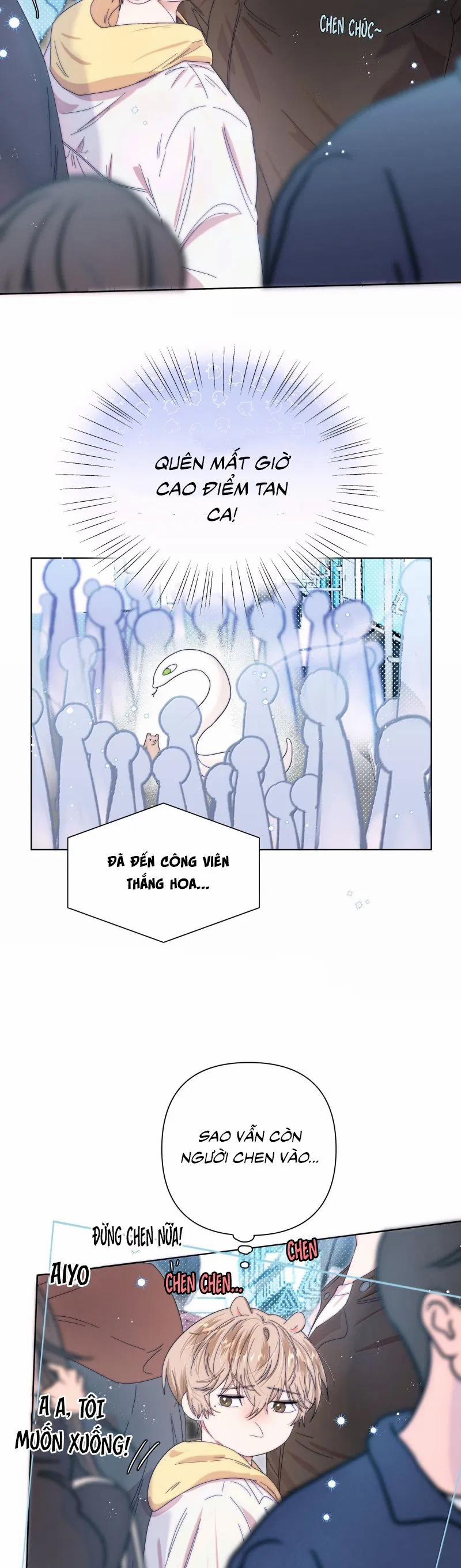 Sống Chung Cùng Kẻ Địch Trời Sinh 22 trang 16