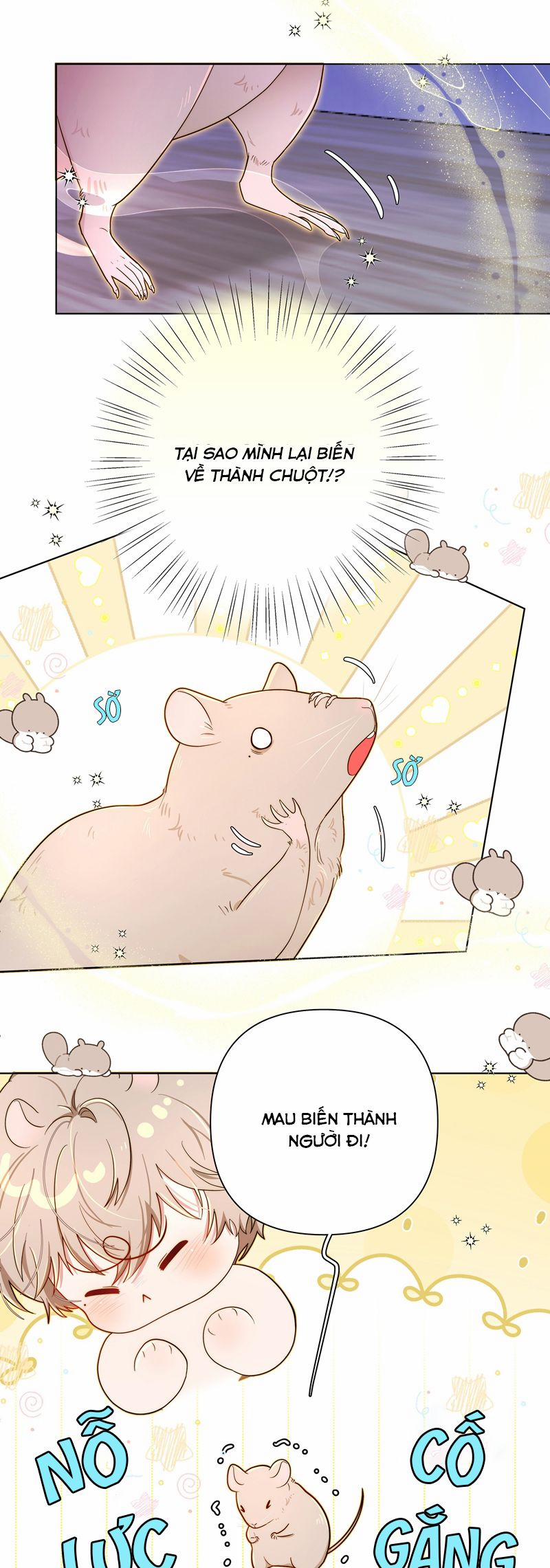 Sống Chung Cùng Kẻ Địch Trời Sinh 5 trang 19