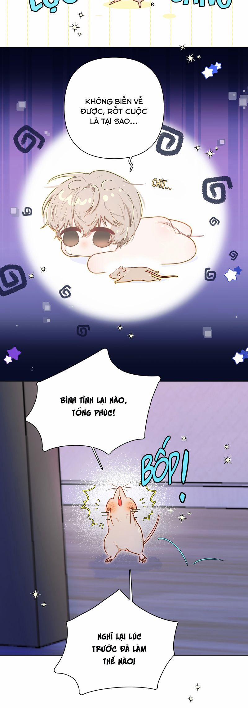 Sống Chung Cùng Kẻ Địch Trời Sinh 5 trang 20