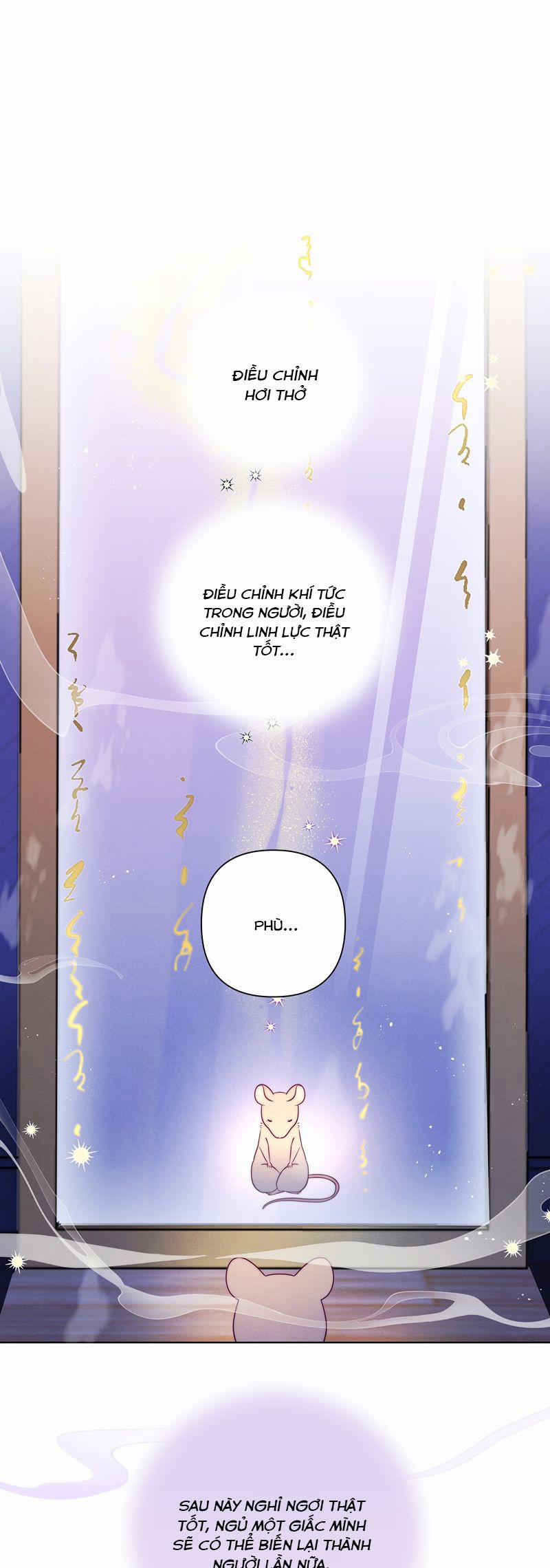 Sống Chung Cùng Kẻ Địch Trời Sinh 5 trang 21