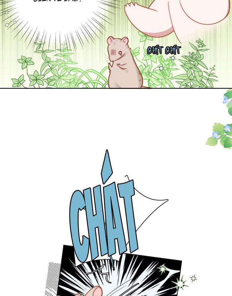 Sống Chung Cùng Kẻ Địch Trời Sinh 6 trang 14