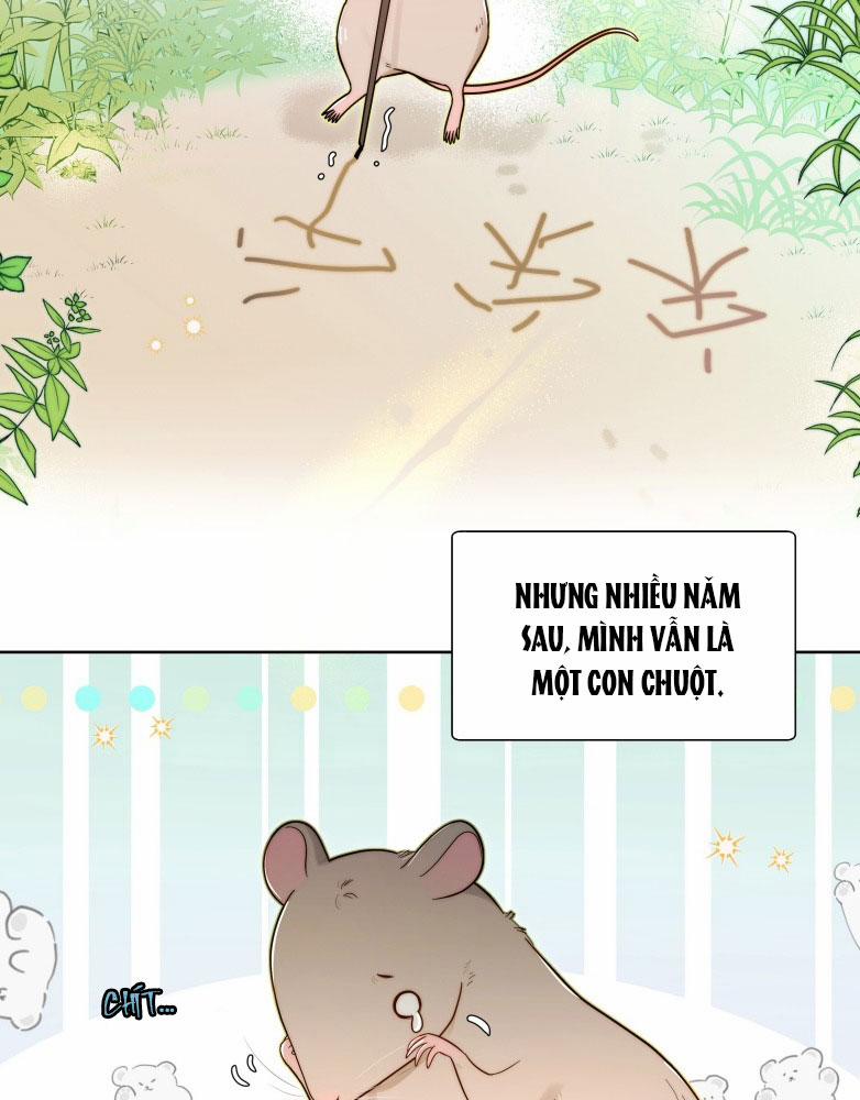 Sống Chung Cùng Kẻ Địch Trời Sinh 6 trang 4