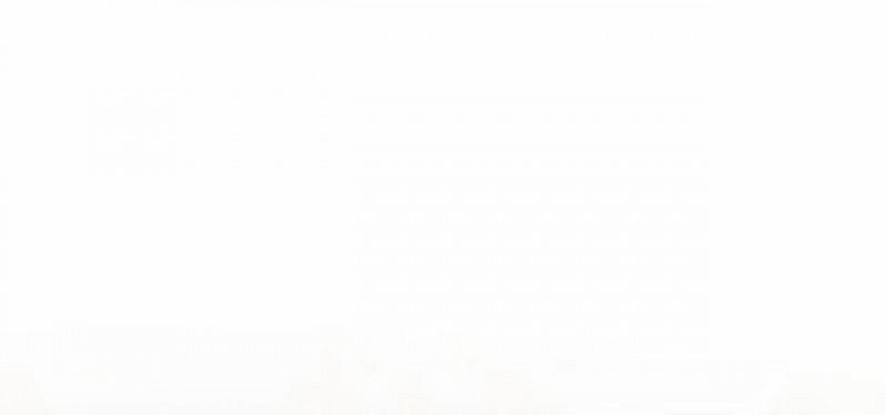 Sống Lại Lần Nữa 12.5 trang 12