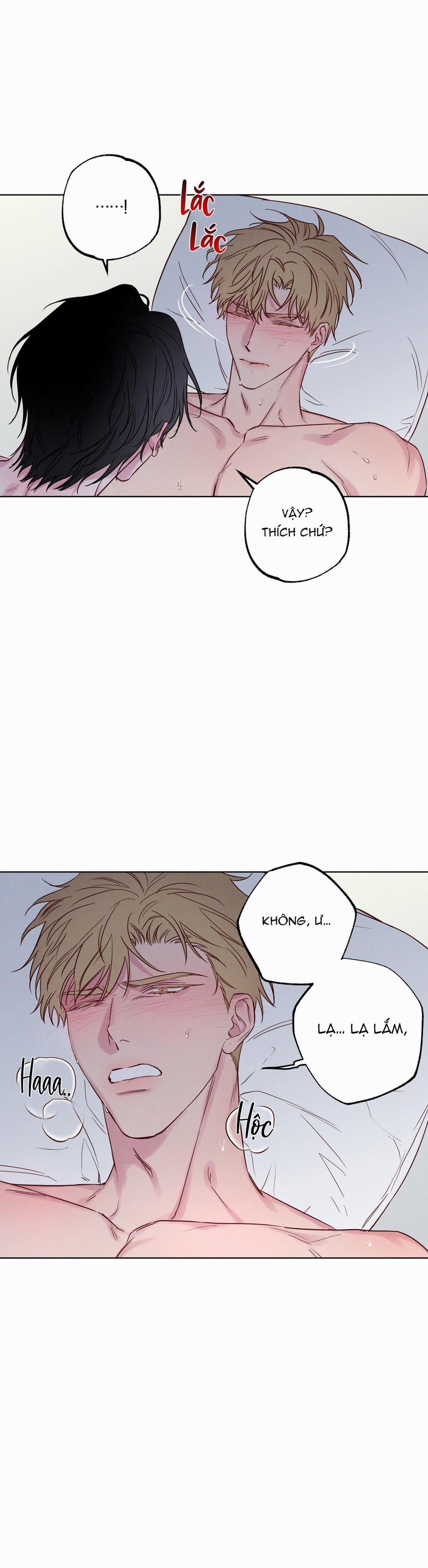 SÓNG ÔM BỜ CÁT 6 H++ NGANG RAW trang 5