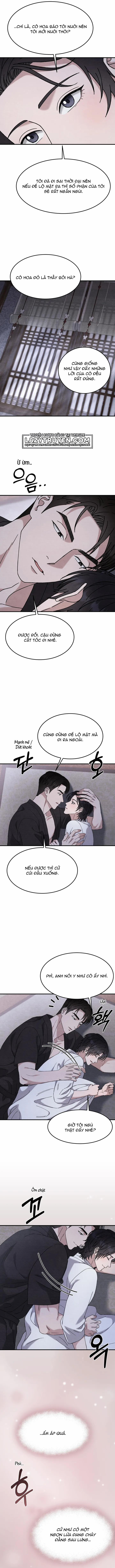 Song Phế 11 trang 10