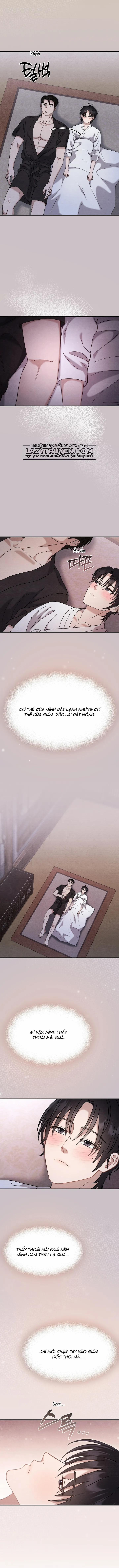 Song Phế 11 trang 7