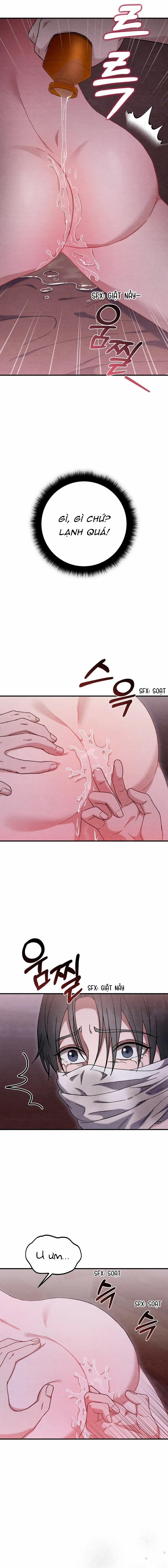 Song Phế 5 trang 14