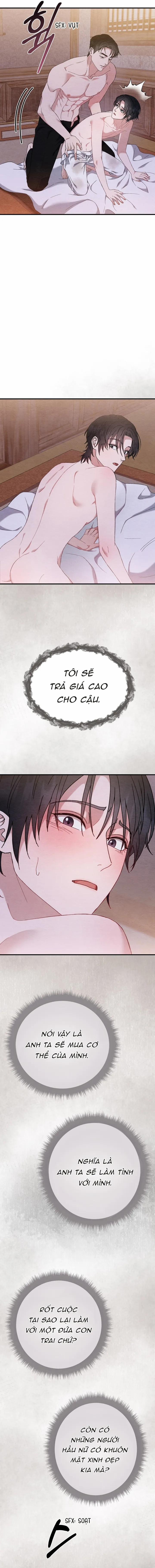 Song Phế 5 trang 2