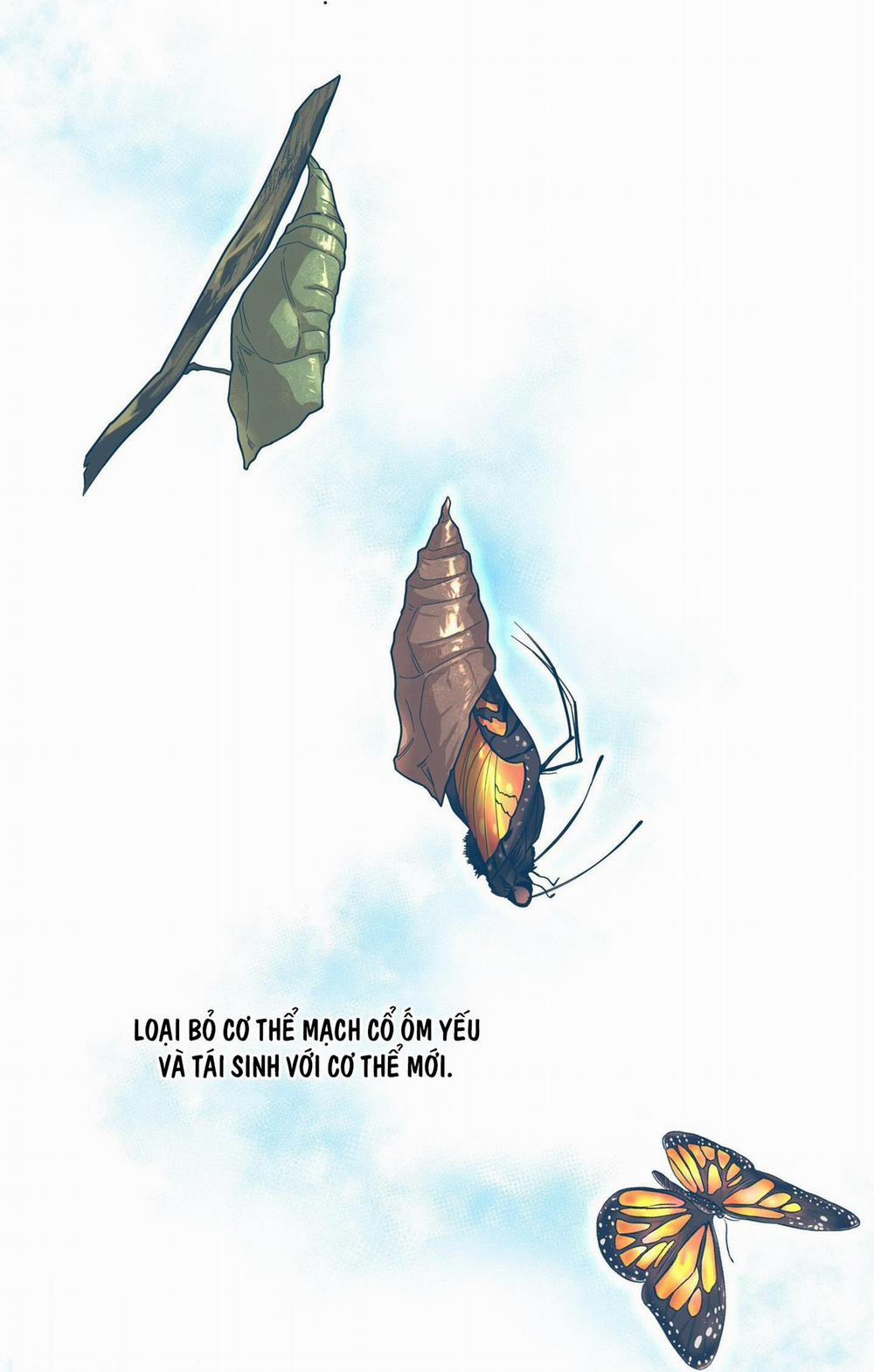 Sống Sót Nhờ Làm Vợ Bé Của Ma Giáo Chủ 2 trang 79