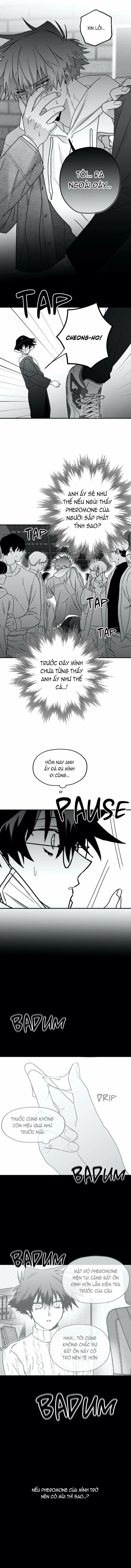 Sóng Tìm Em 10.2 trang 4