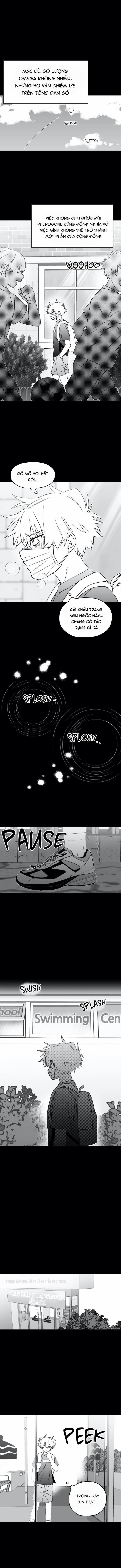 Sóng Tìm Em 11.1 trang 6