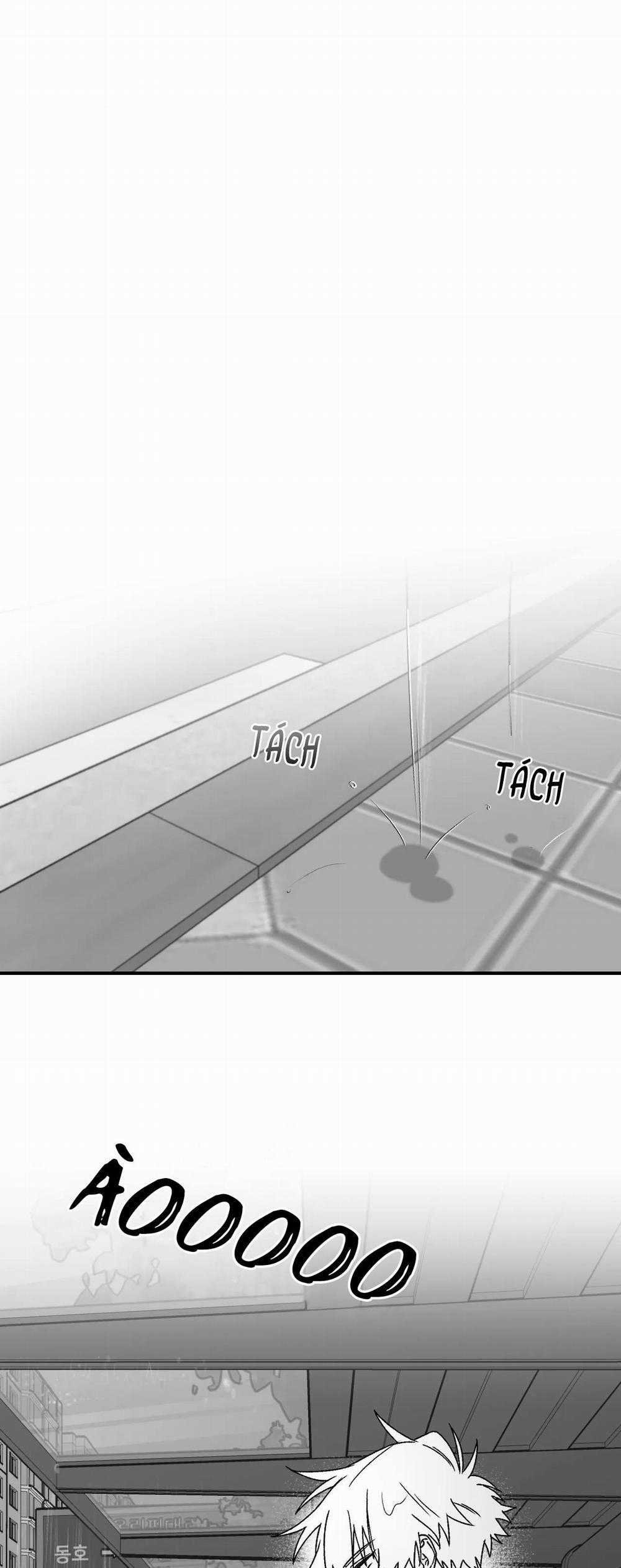 Sóng Tìm Em 11 trang 0