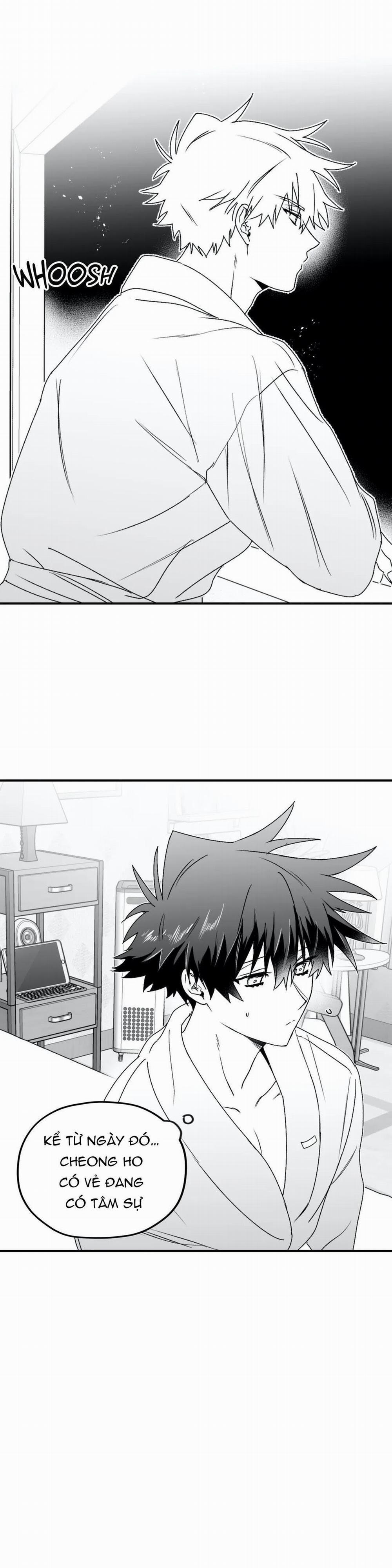 Sóng Tìm Em 12.1 trang 4