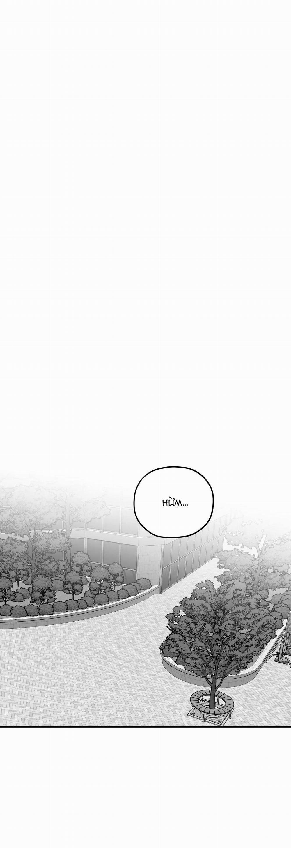 Sóng Tìm Em 12 trang 29