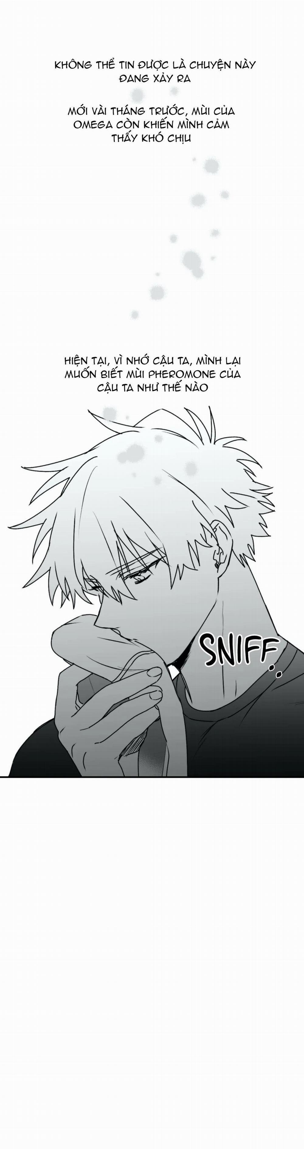 Sóng Tìm Em 16.2 trang 5