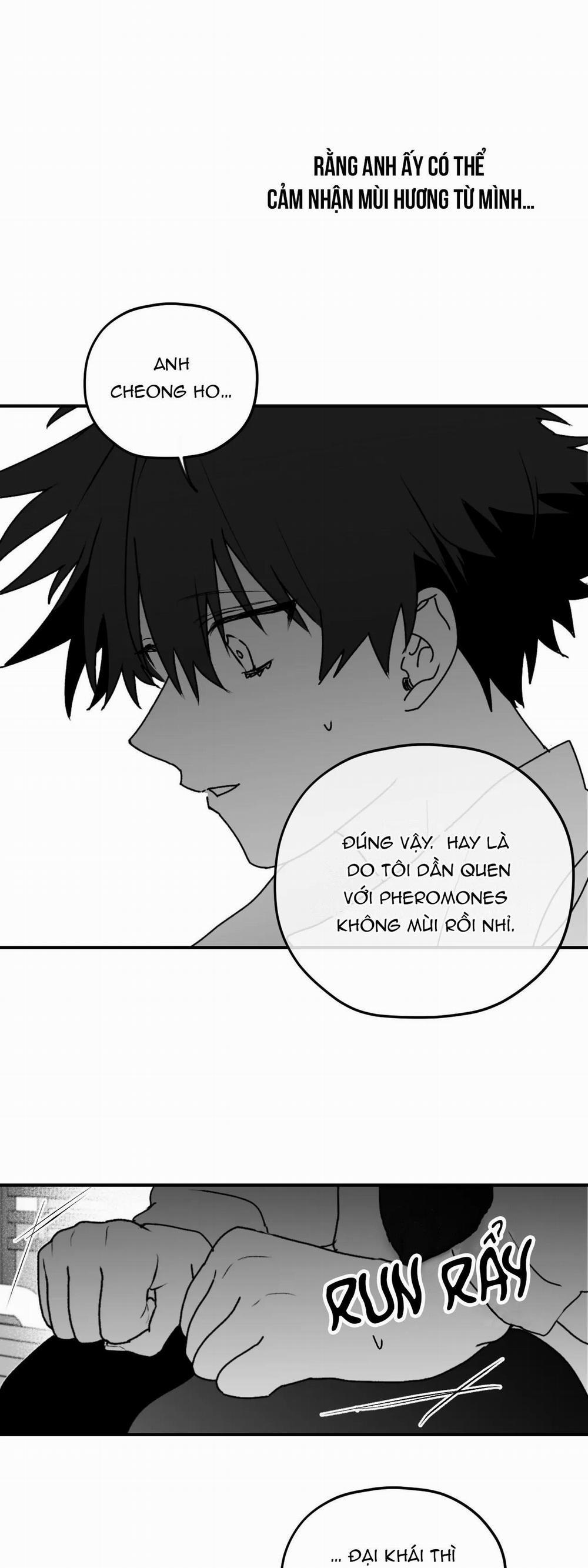 Sóng Tìm Em 19 trang 24