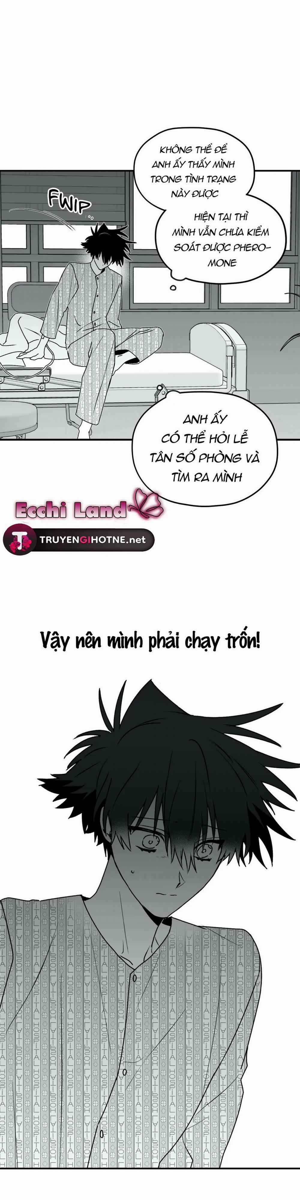 Sóng Tìm Em 21.1 trang 15