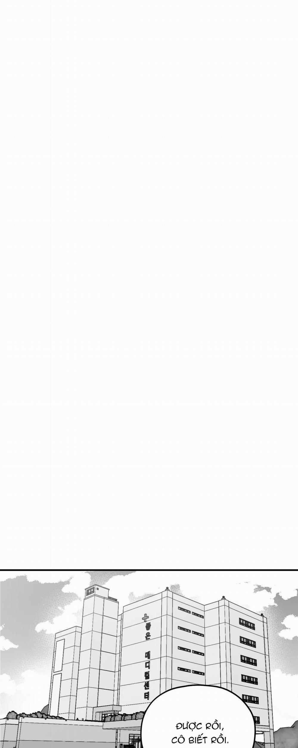 Sóng Tìm Em 21 trang 0