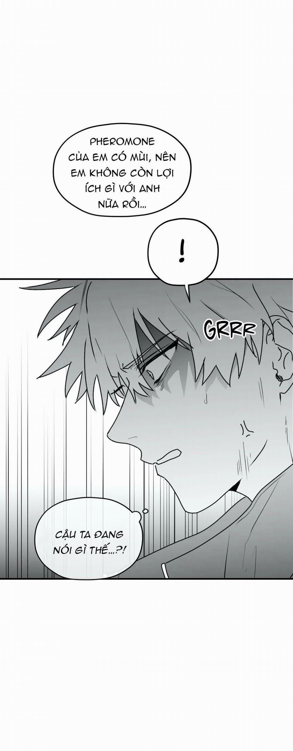 Sóng Tìm Em 22.2 trang 4