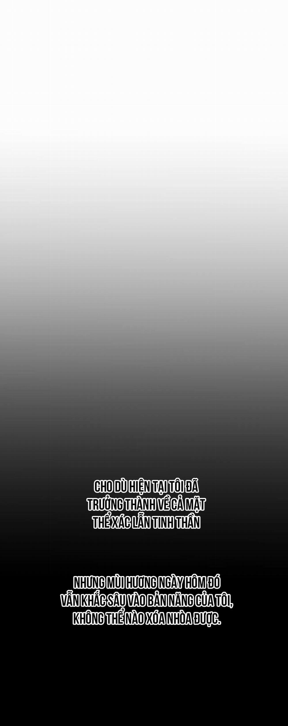 Sóng Tìm Em 22 trang 1