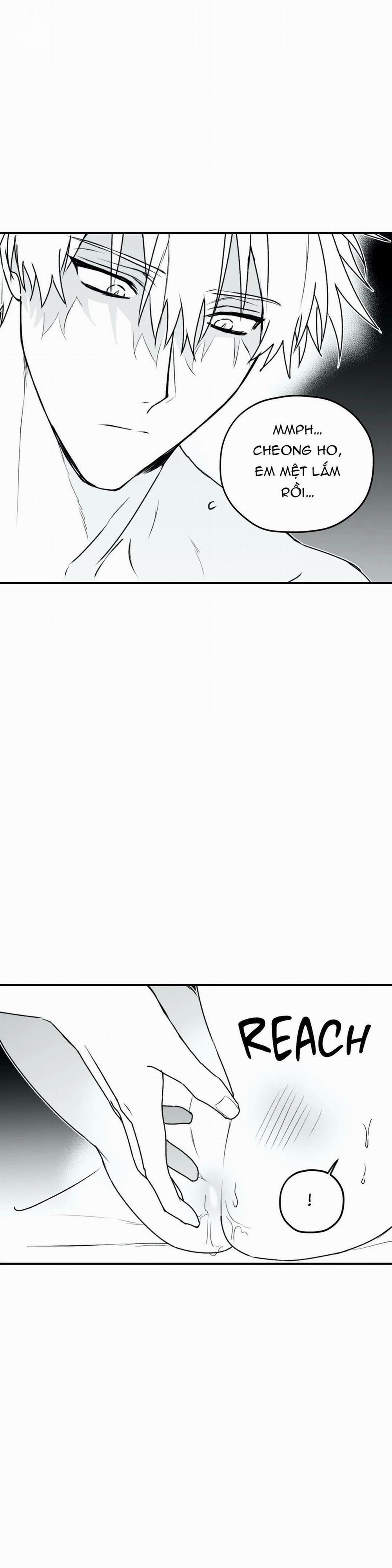 Sóng Tìm Em 24.1 trang 11