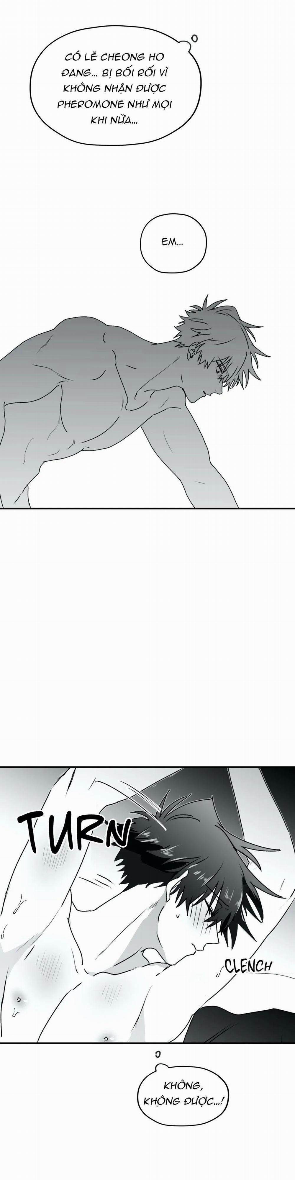 Sóng Tìm Em 24.1 trang 19