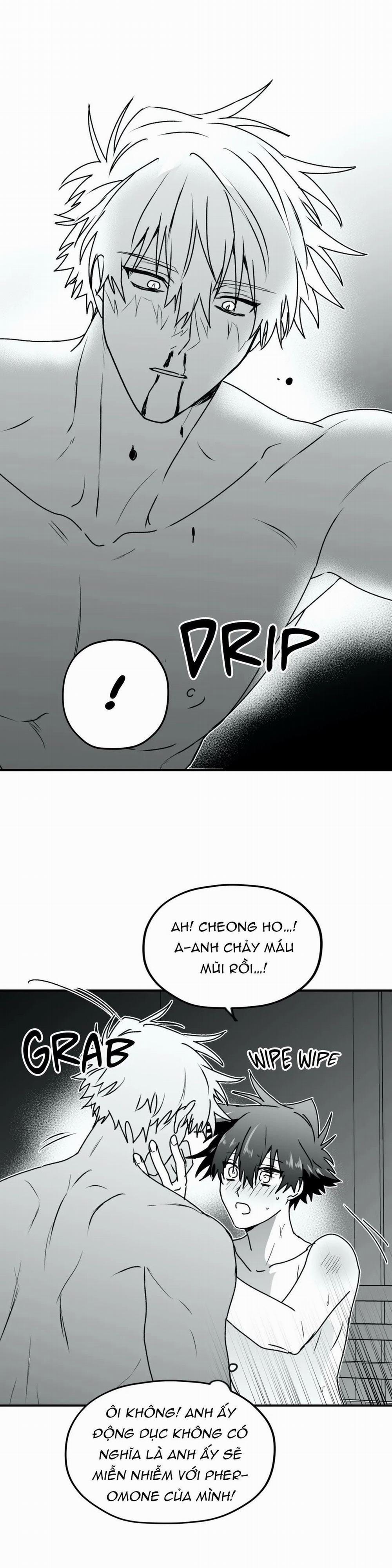 Sóng Tìm Em 24.1 trang 21