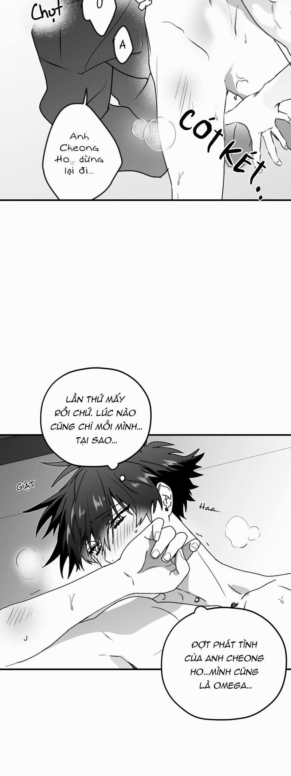 Sóng Tìm Em 24 trang 2