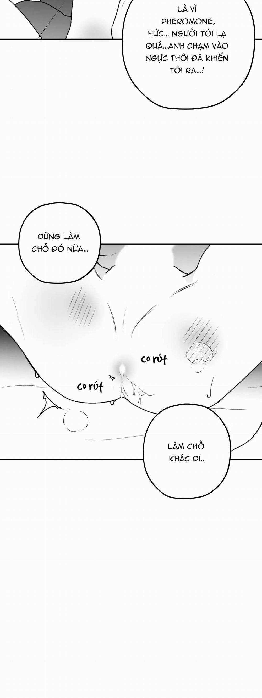 Sóng Tìm Em 24 trang 8