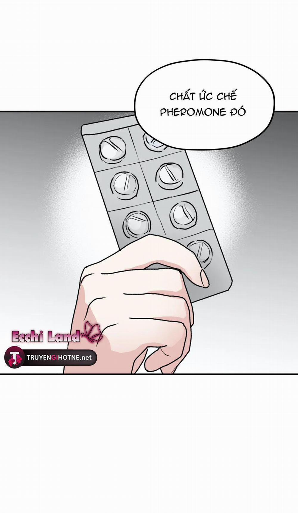 Sóng Tìm Em 26.1 trang 4