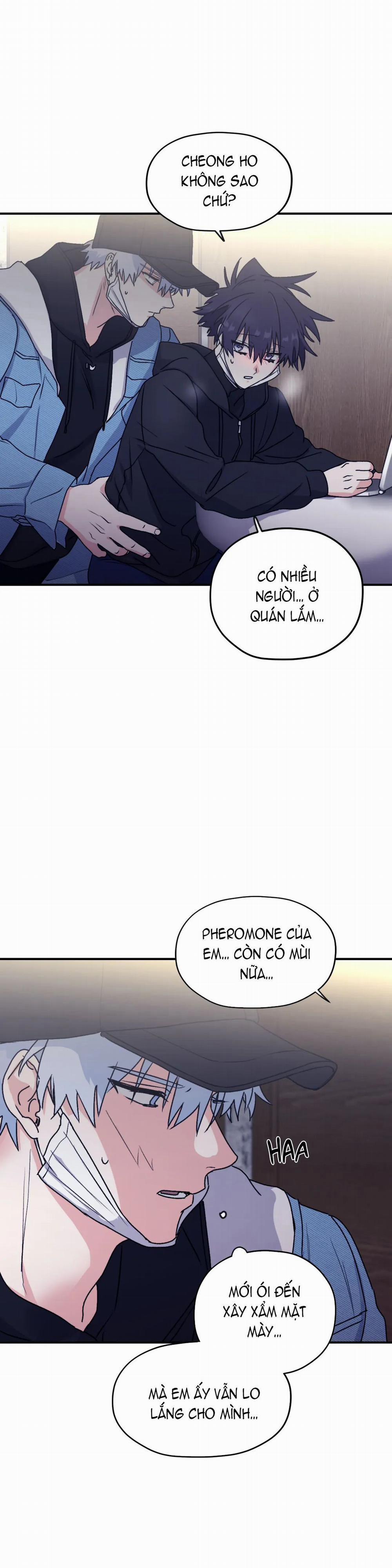 Sóng Tìm Em 28.2 trang 11