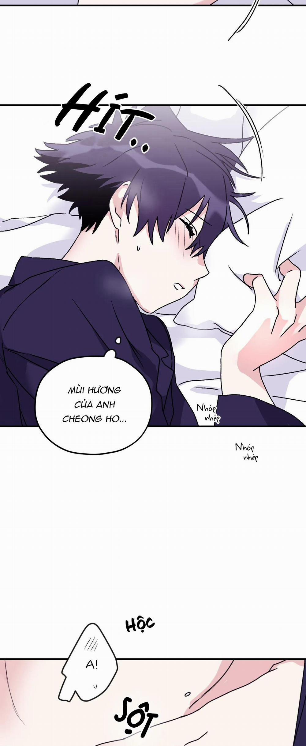 Sóng Tìm Em 34 trang 31