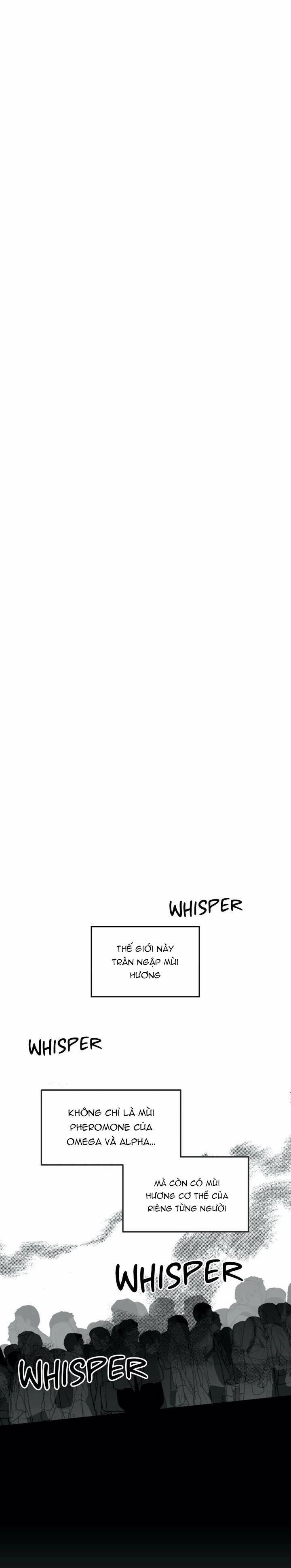 Sóng Tìm Em 4.1 trang 3