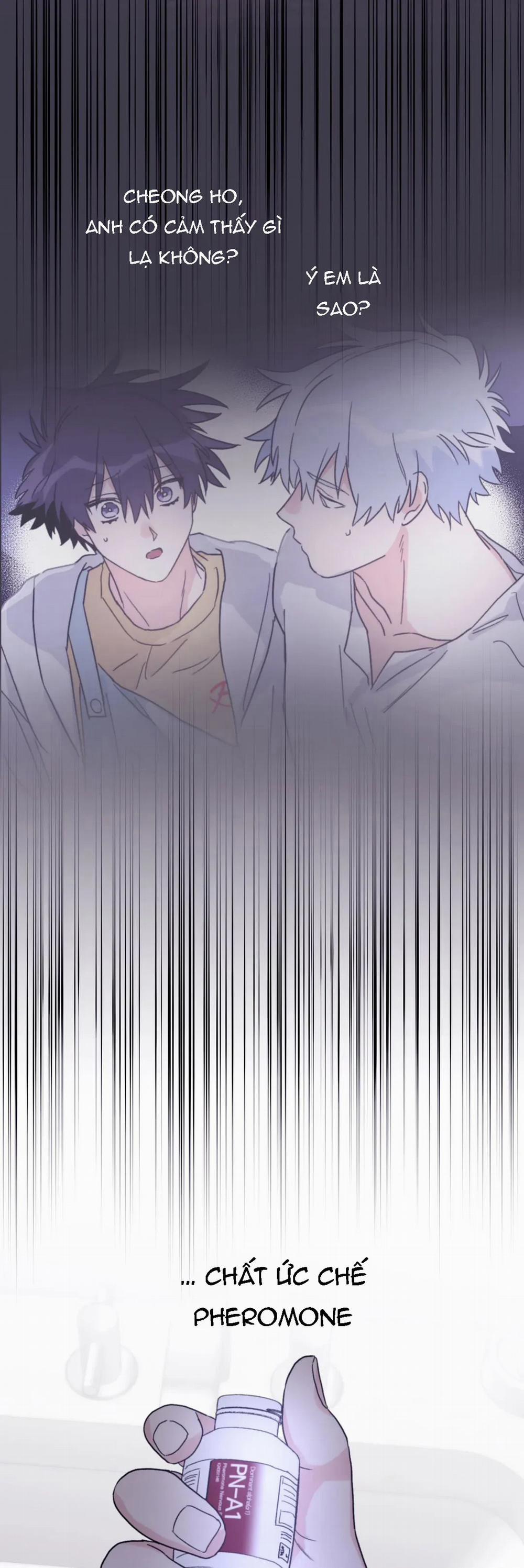 Sóng Tìm Em 41.2 trang 11